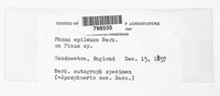 Image Associated With the Occurence